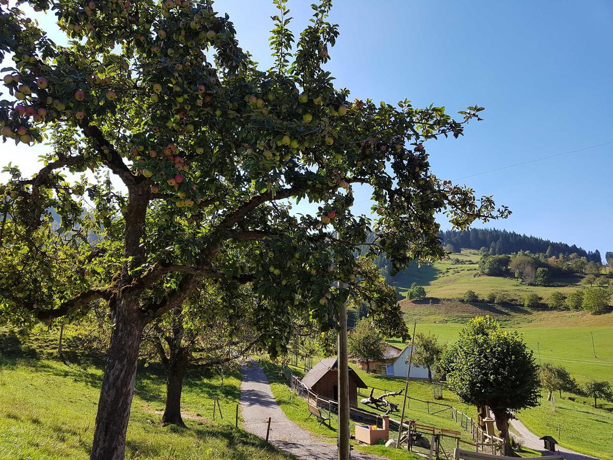 Maierhof Villa Oberried  Luaran gambar