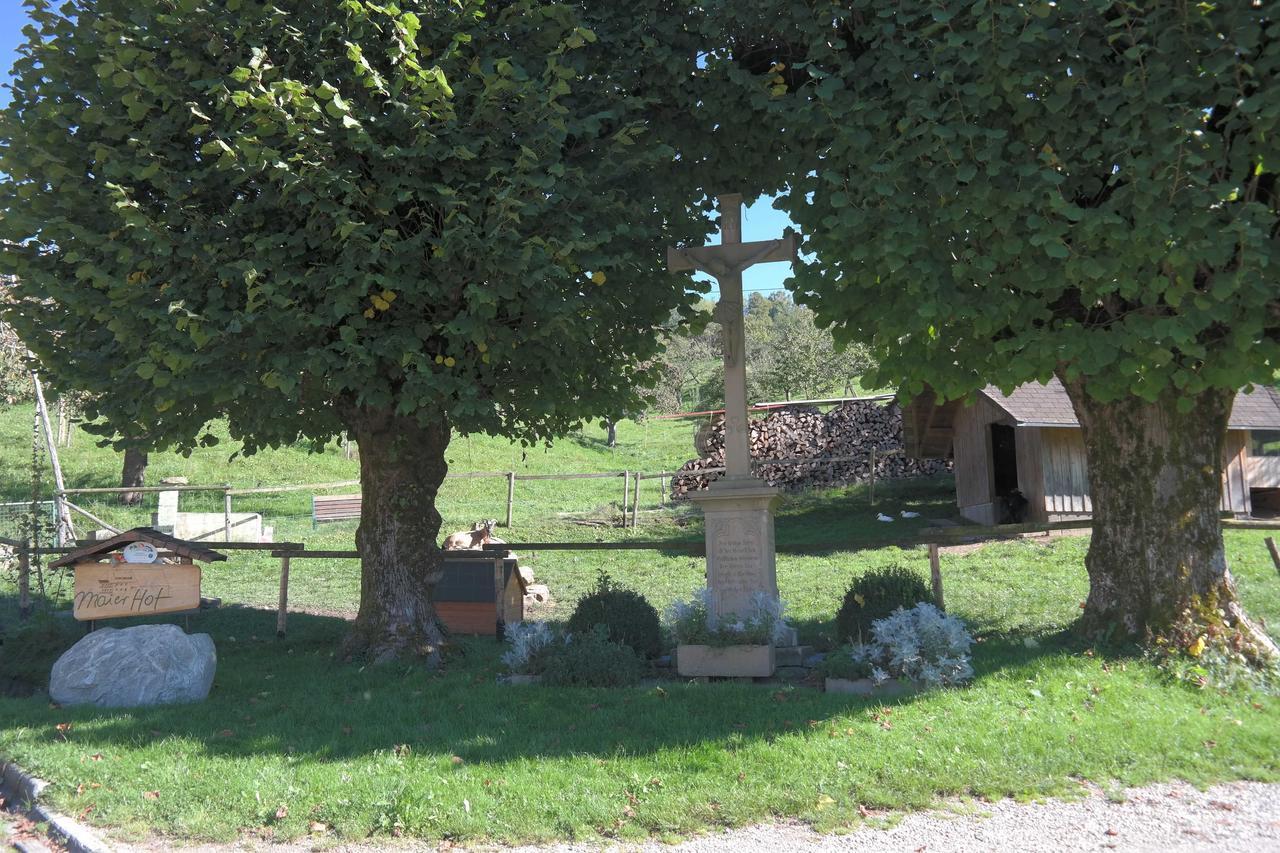 Maierhof Villa Oberried  Luaran gambar